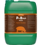 Pro-Biotyk (em15) DLA TRZODY CHLEWNEJ 20 L