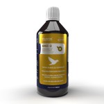 Przygotowanie i lot   KMZ-2  Volantor 500 ml