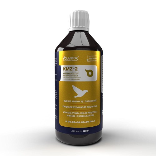 Przygotowanie i lot   KMZ-2  Volantor 500 ml